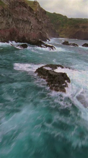 Best Of The World 2026 | National Geographic