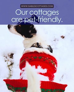 🐾 Winter Getaway, Tail-Wagging Edition @gablescottages Pack the leash, grab the treats - your four-legged bestie is welcome all season long at Gables Cottage Resort. ❄️ All 8 cottages are pet-friendly and heated for cozy comfort 🌲 Snowy forest walks = sniff-worthy adventures 🔥 Fireside naps after frosty playtime 🏞️ Lake views and quiet trails, even in winter Whether it’s a holiday escape or a peaceful midweek retreat, Gables is where you and your pup can unwind, explore, and make memories in