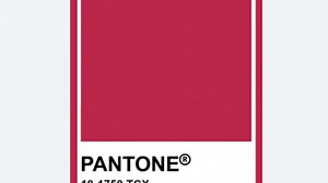 Viva Magenta- The Color of 2023