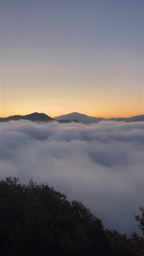 竹田城跡の雲海 見どころとアクセス｜朝日に照らされる絶景