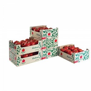 Fruit Box and vegetable packaging box China factory Top 10