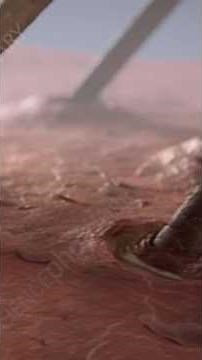 Mites (Demodex species) enter the hair follicle on human skin.