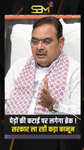 Tree felling will be stopped! Strict law will come in Rajasthan