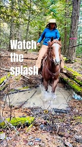 POV horseback riding as my trail horse tackles a muddy obstacle. #horsebackriding #trailhorse