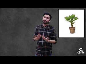 La Reforma agraria en Chile (Siglo XX) - YOUTUBER HISTORIA Y CS. SOCIALES PREUNIVERSITARIO CPECH