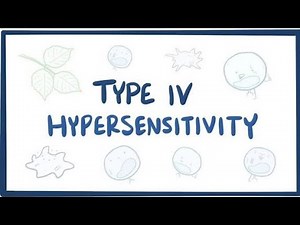 Type 4 Hypersensitivity Reactions | Immunology Made Simple | Delayed-Type Cell-Mediated Immunity ---