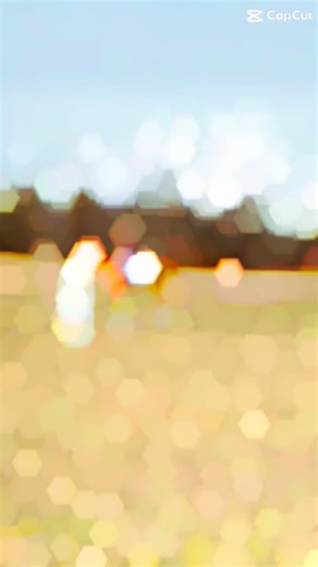 We had a great weekend at the Hillcrest Farms Combined Test and Dressage Show over the weekend! @arobinson.88 and Double Sky made their first attempt at Novice and finished on their dressage score of 32.5 😍 @scarlettcongedo_eventing and Straight on Till Morning looked confident and composed in their Maiden CT for a second place on their dressage score of 36.2 @sadiebarton_eq22 and Tequila Sunrise also finished their second Maiden for 5th place on their dressage score of 40.7. They also attempte