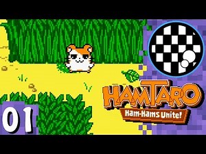 Hamtaro: Ham Hams Unite! | PART 1
