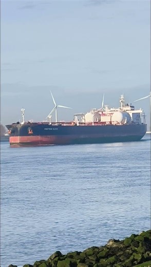 PROTEUS ELSIE 18-1-2026