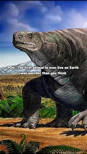 When you find an animal with no eyes or mouth #Dickinsonia #AncientLife #Evolution