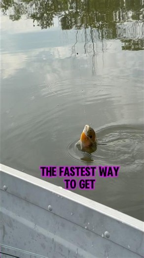 HOW TO Get Better At FISHING Today! 🎣 #shorts #fishing #howto