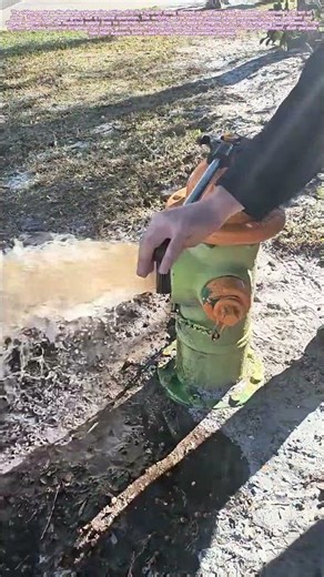 Hydrant on Tap: Where Pressurized Water Meets Urban Greenspace