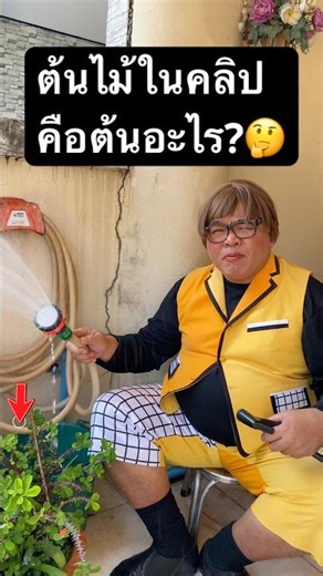 Do you know what kind of tree is in this clip? 🤔 #babymimeshow #bidet #household #highpressure