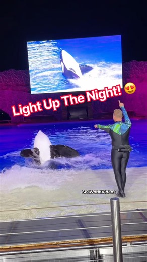 We are here to Light Up The Night! 😍🫍