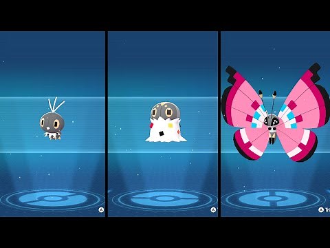 Scatterbug Evolution Pokemon - Pokemon Legends Z-A