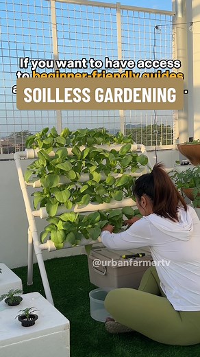 Beginner's Guide to Soilless Gardening: Create a Self-Sustaining Mini Farm at Home