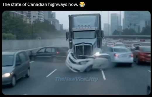 3.6K views · 44 reactions | Exaggeration? | Douglas McKinnon | Facebook