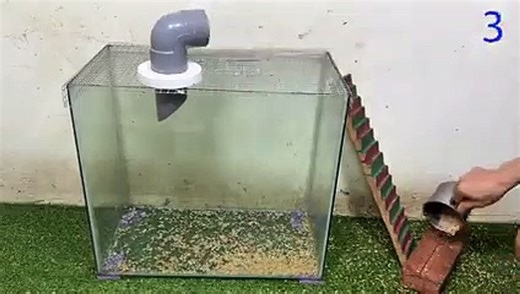 New mouse trap   Falling into a trap   The best homemade mousetrap in the world