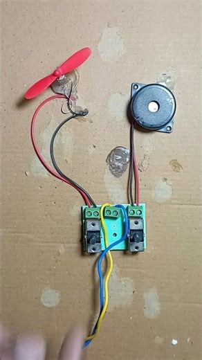 bazzar sound test #shorts