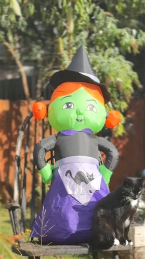 Our daughter Jospehine has been making masks since the pandemic 😷 so when I was lacking a good halloween costume this year; I jumped on the chance to wear one of her custom designed, handmade, one of a kind Furry heads 🐶🐱🐹🐰🦊🐻🐼 . After Trunk or Treat we were off to the arcade! 🕹️👾 #furries #customdesign #costume #oregoncoast #seasideoregon #design #beachlifestyle #furry #fursuitmaker | Erin Ufert