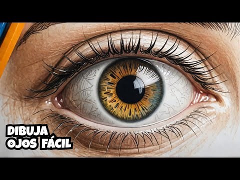 ¿Cómo Dibujar Ojos Paso a Paso? | Aprende a Interpretar Líneas y Perfecciona tu Técnica