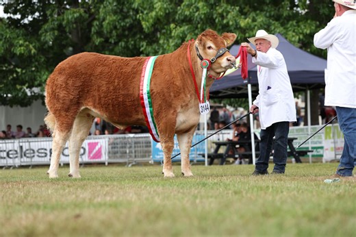 Royal Welsh Show 2025 - a Week of Spectacular Celebrations and Outstanding Success