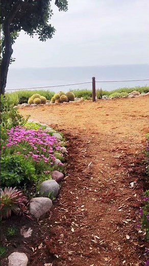 Encinitas Meditation Garden 🌸🌿💛 Peaceful Walk & Ocean View