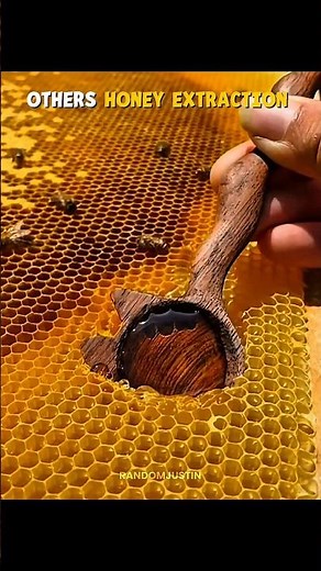 Normal Honey Extraction vs The Bee Soldier