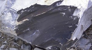 Oil Shale