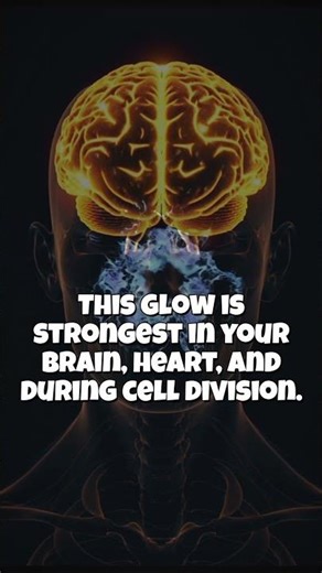 Your Body Glows in the Dark?! Real Bioluminescence Explained 😲🧬