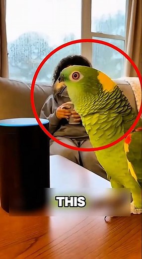 ALEXAS DATA IS AS FAKE AS HER EMOTIONS😳😂