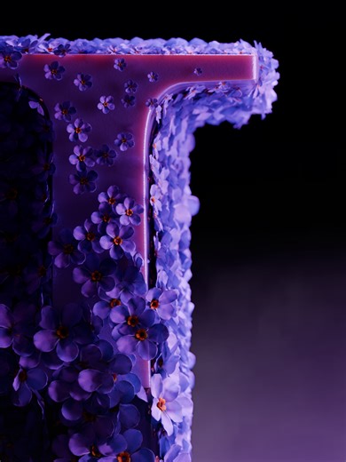 Forget Me Not: A New Look Unveiled