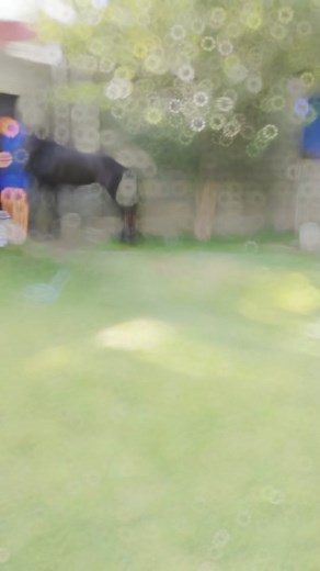 Mr max having bath. #argentinapolonia #horses #summer #bath