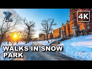 [4K] A Winter Walk Through Boston's Snow-Covered Parks (With Natural Sounds)