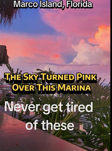 Dinner at the Dolphin Tiki Bar on Marco Island overlooking the marina when the sunset suddenly turned the entire sky pink over the bay. Boats sitting in the water, reflections everywhere, and everyone just stopped to watch for a moment. Florida sunsets always know how to put on a show. Marco Island Florida sunset Florida Gulf Coast travel Best sunset spots in Florida #MarcoIsland #FloridaSunset #FloridaTravel #GulfCoast #sunsetviews