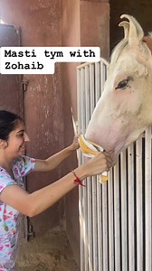 #farming#animallover #farmlufe #punjab #hsonkisardar #jack #sidhu #trendingreels #viralreels | G.K stud Farm