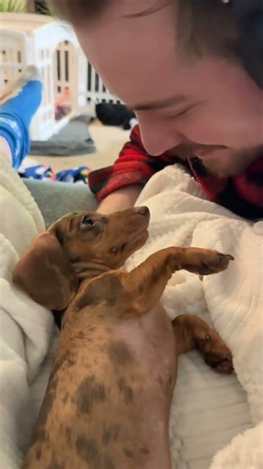 @its.maple.syrup: When you don’t want kisses from dad 😂 #dog #doglover