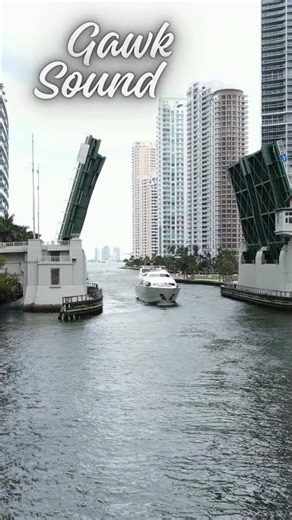 This Sound Makes It So Dramatic 😳 #gawksound