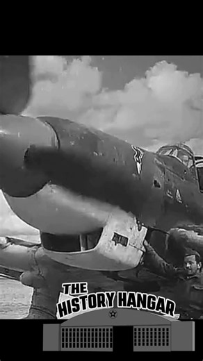 Strange Stuka #aviationhistory #thehistoryhangar #militaryaviation #militaryaircraft #aviationlovers