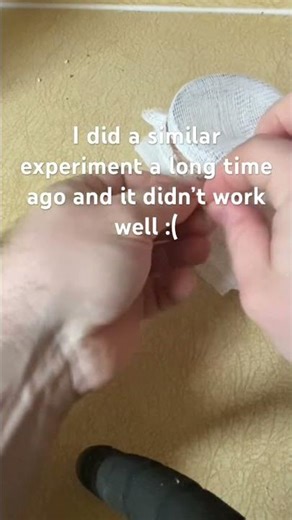 Can you grow popcorn sprouts? #gardening #sustainability #plants