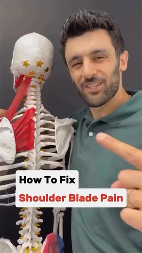 1.3K views · 11 reactions | Do you struggle with shoulder blade pain...