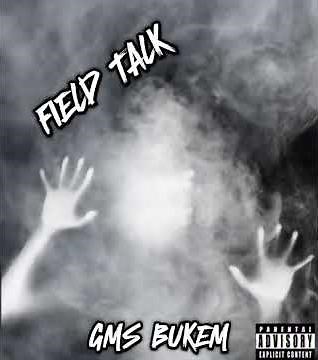 Gms bukem x F1stbreak -Field Talk (Official Audio)