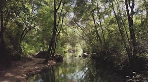 Free Water Videos: 4K & HD | No Watermark | Download Now