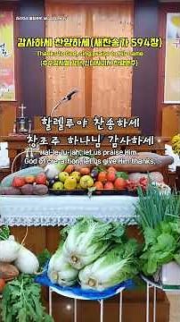1절,#감사하세 찬양하세 #새찬송가594장 #추수감사찬송연주 #감사은혜 #추수감사절강단장식 #작은농촌교회