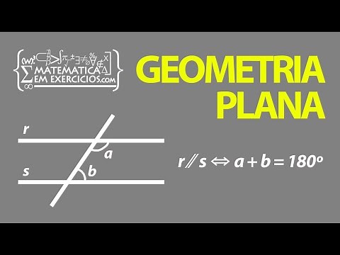 Plane Euclidean Geometry - Lesson 1 - Basic geometric concepts - Prof. Gui