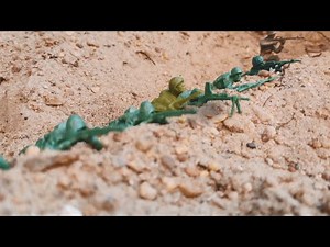 Hold the line | Army men stop motion war film | Plastic war