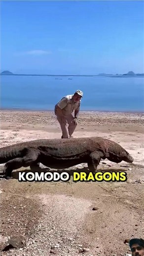 The Last Descendants Dinosaur Are Everywhere😱 #viral #shorts