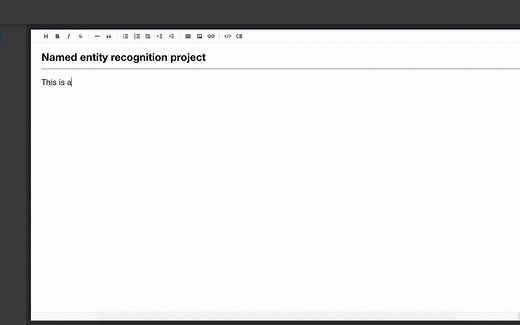 doccano - write guideline