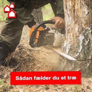 Det er tid til at fælde træerne i haven. 🌳 Har du styr på, hvordan du gør det sikkert uden at risikere liv og lemmer? Her er den ultimative guide til træfældning. 🪓 https://www.bauhaus.dk/guide-sadan-faelder-du-et-trae | BAUHAUS Danmark