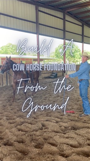 Did you know? 🐴❓ There is an exercise to help build your cowhorse from the ground up? Listen as Byron explains how lunging your horse and using a parallel position to you in the stop and change of direction can help reinforce what you work on in a boxing and cutting scenerio. If you enjoy quicktips and positive equine messages be sure to follow along at Hogan Equine - Where Chnage Is Made - Hogan Equine is a first rate horse training facility that specializes in training and showing Reined Cow 